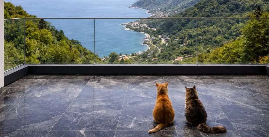 Terrasses & rooftops